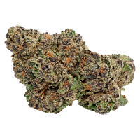 Tuck Shop - Hawaiian Marker