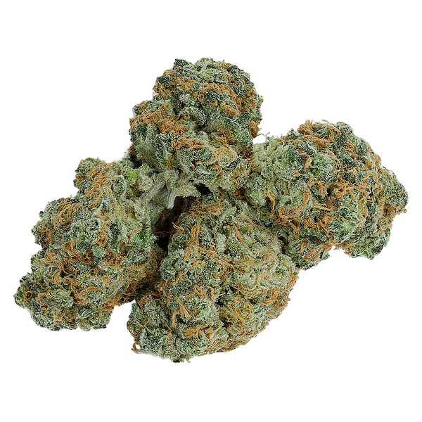 Electric Lettuce - Charged Sativa