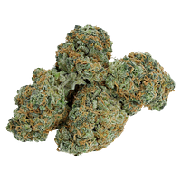 Electric Lettuce - Charged Sativa