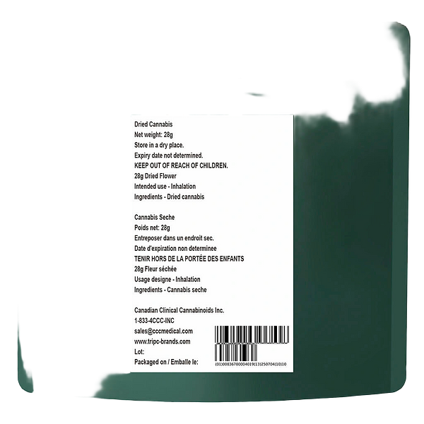 The Loud Plug - Sticky Bunz