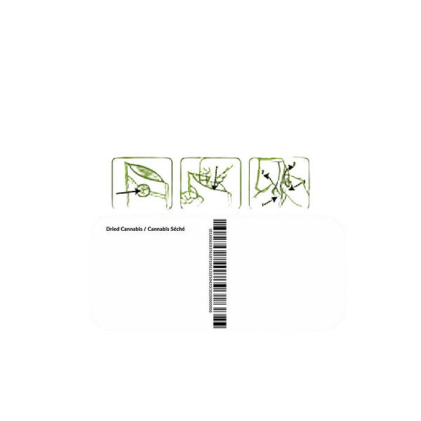 Bud Lafleur - Chiquita Milkshake