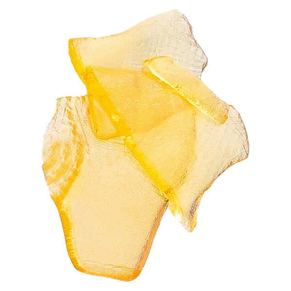 The Loud Plug - LA Inferno Shatter