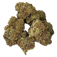 Buzz'd - Big Buzz OG