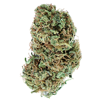 Encore - Indica Greatest Hits Vol. 1