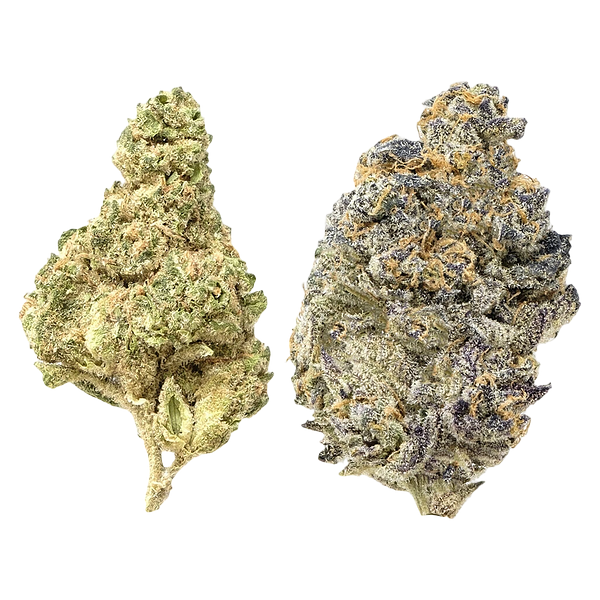 Snicklefritz - Candi Gas Mixed Pack - Froot Stripez & Gas Tingz