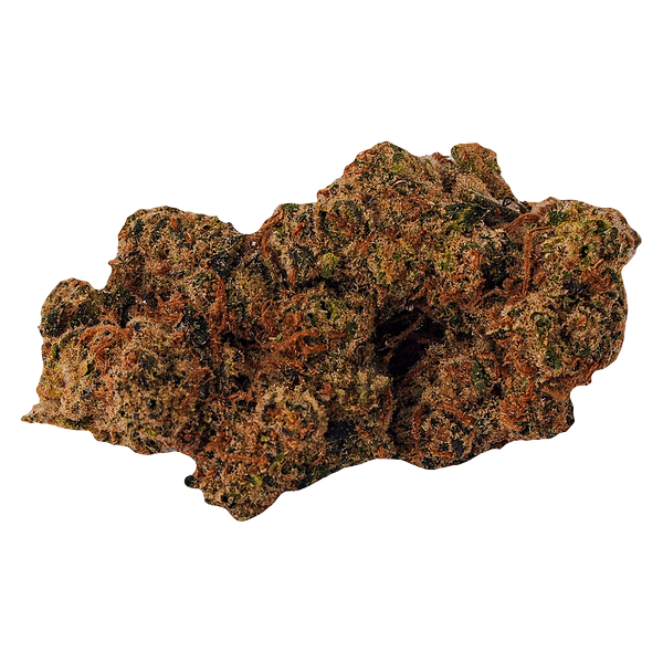 BOLD - Cool Aid Kush