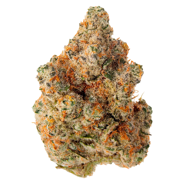 EastCann - Masterpiece