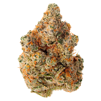 EastCann - Masterpiece