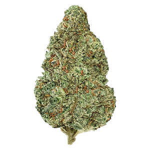 Back Forty - Chemzilla