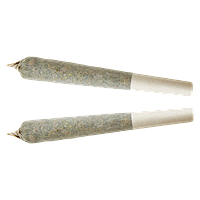 XPLOR - Sativa Pre-roll