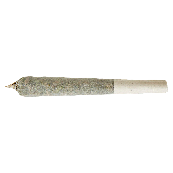 XPLOR - Sativa Pre-roll