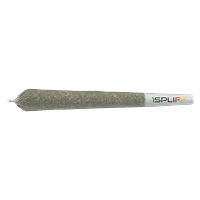 1Spliff - Pineapplex Pre-roll