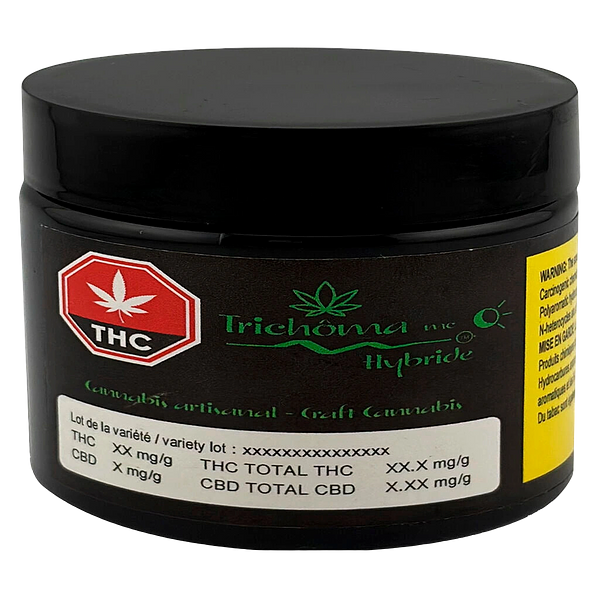 Trichöma Mc - Hybride