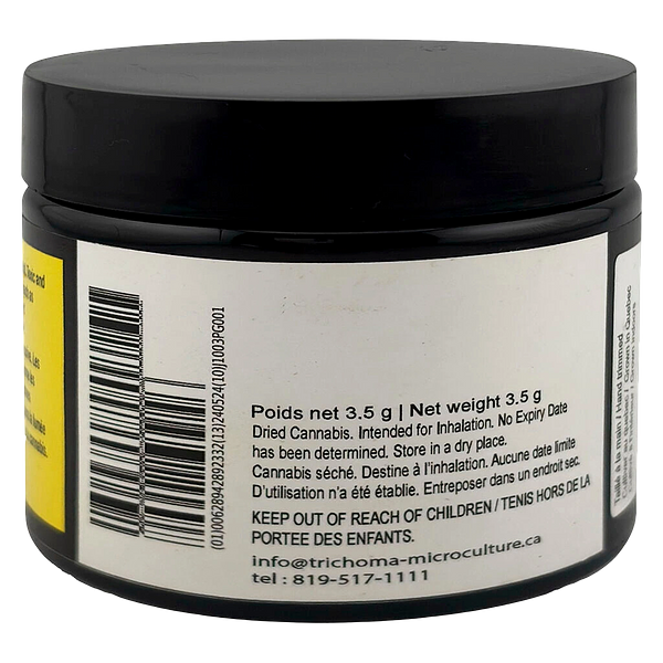 Trichöma Mc - Hybride