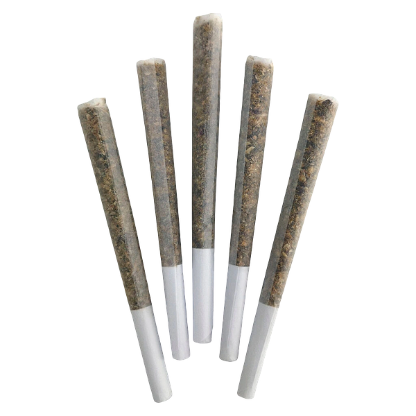 DEALR - Iced Zuchi Pre Roll