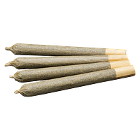 Endgame - 94 Supreme Pre Roll