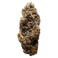 3rd Coast Genetics - Frozen Cola