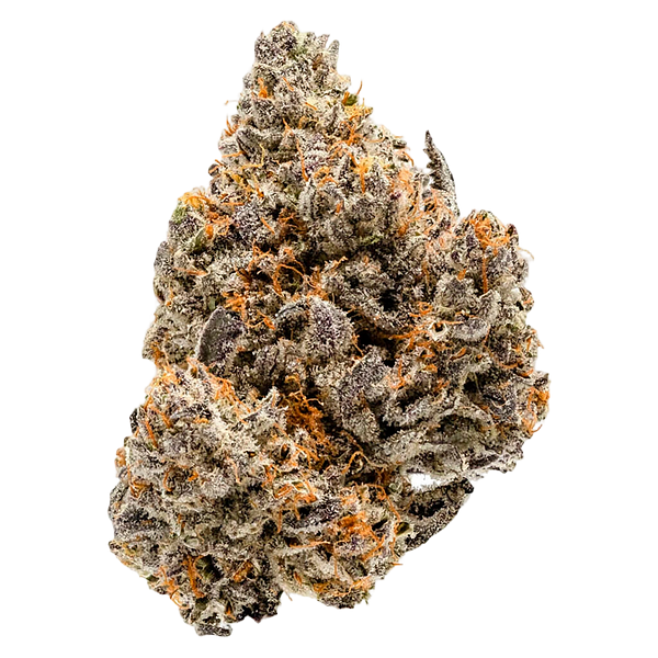 Coterie - Blue Ztarburzt