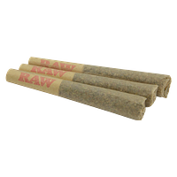 The Florist - Sucker Punch Pre Roll