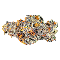 BLK MKT - Pink Kitty