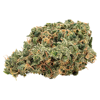 Big Bag O' Buds - Ultra Jean-G