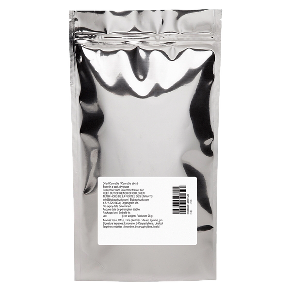 Big Bag O' Buds - Ultra Jean-G
