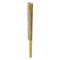 MTL Cannabis - 91 Ox Pre Roll