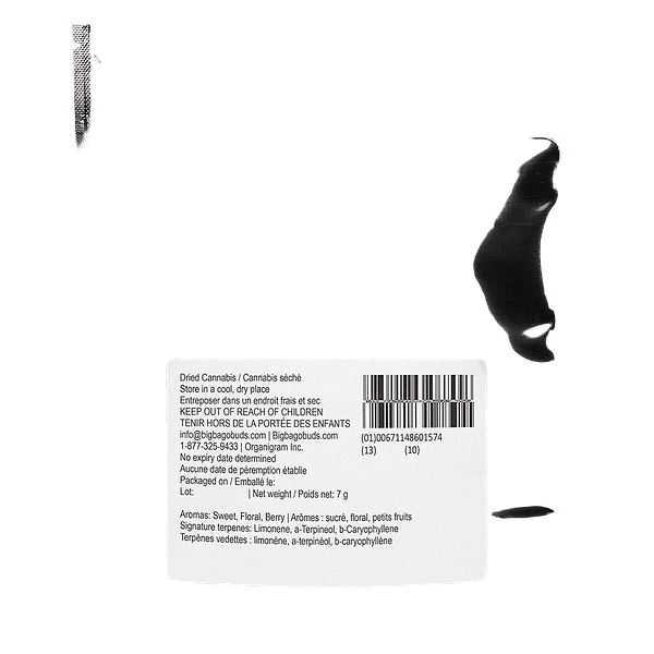 Big Bag O' Buds - Blueberry Dream