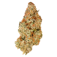 Simply Bare - Bc Organic Pink Drip