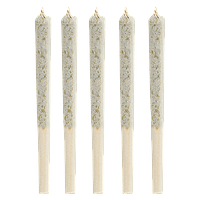 1964 - NY Lemon Diesel Pre Roll