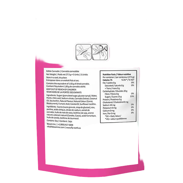 Fly North - Space Tokens Galactic CBG 1:1:1