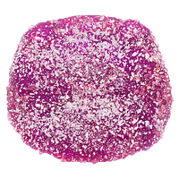 No Future - Cbd Bomb The Cbd Pectin Purple One