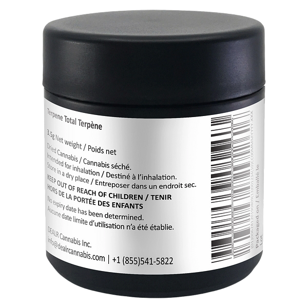 DEALR - Cloudberry Drizzle