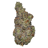 Terp Town Collective - Queen Of Tartz