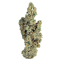 PURPLEFARM - Miracle Mints