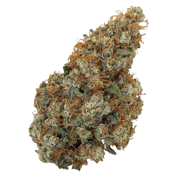 Natural History - Limited Reserve Sativa