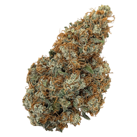 Natural History - Limited Reserve Sativa