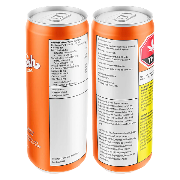 Sheesh Hash Sodas - Banjorine Dream Live Rosin Fizz