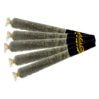 Caviar Gold - Baby Cavis Mixed Pack Infused Pre Roll