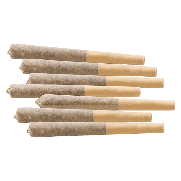 LoFi - Nostalgia Infused Craft Pre Roll