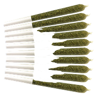 VOLO - Orange Turpentine Pre-Roll