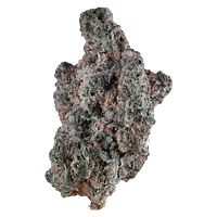 1964 - NY Lemon Diesel