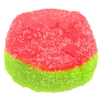 No Future - Ratio'd - the 1:1 Watermelon One Gummie