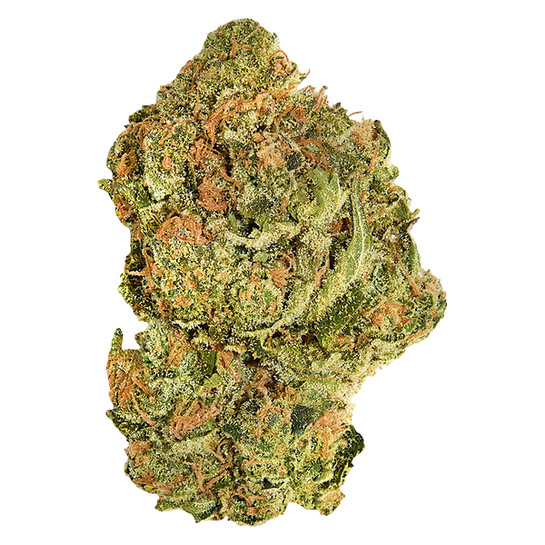 Good Supply - Brand New Buds