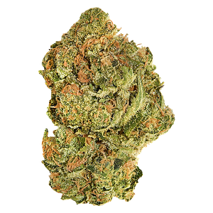 Good Supply - Brand New Buds