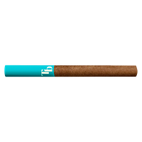 Trailblazer - Lemonade Haze Tube-Style Slim Blunts