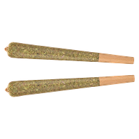 Fuego - Galactic Fire Sativa Pre-Roll