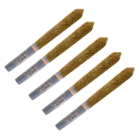 Astrolab - Pineapple Orange Peel Moon Dusted Infused Pre-Roll