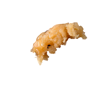 Sauce Rosin Labs - Signature Live Rosin Farmer's Pride Edition