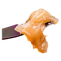 Sauce Rosin Labs - Live Rosin Seasonal Gas Pack